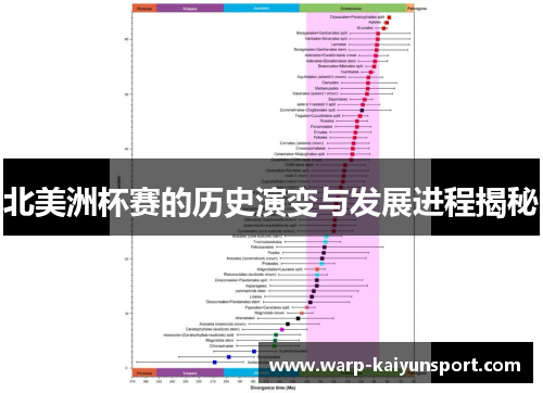 北美洲杯赛的历史演变与发展进程揭秘