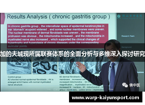 加的夫城现所属联赛体系的全面分析与多维深入探讨研究