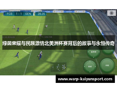 绿茵荣耀与民族激情北美洲杯赛背后的故事与永恒传奇