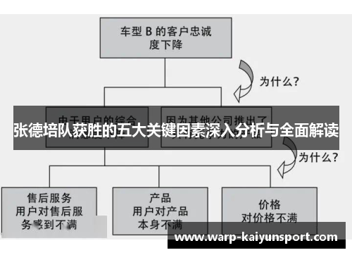 张德培队获胜的五大关键因素深入分析与全面解读