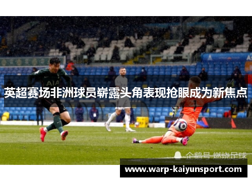 英超赛场非洲球员崭露头角表现抢眼成为新焦点 英超赛场非洲球员崭露头角表现抢眼成为新焦点